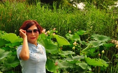 井川里予和别人打扑克牌的链接